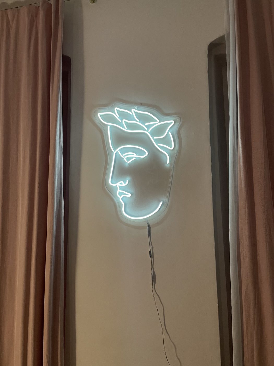 Neon LED w kształcie twarzy - profil artystyczny
